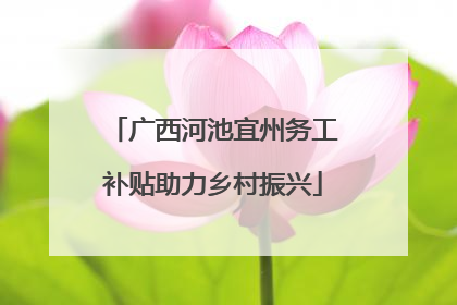 广西河池宜州务工补贴助力乡村振兴