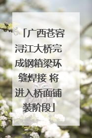 广西苍容浔江大桥完成钢箱梁环缝焊接 将进入桥面铺装阶段