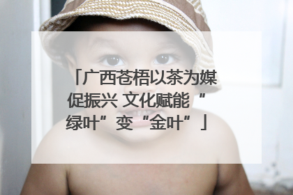 广西苍梧以茶为媒促振兴 文化赋能“绿叶”变“金叶”