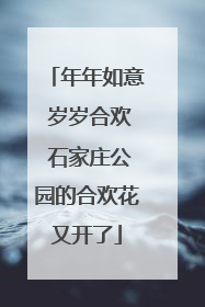 年年如意 岁岁合欢 石家庄公园的合欢花又开了
