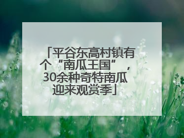 平谷东高村镇有个“南瓜王国”，30余种奇特南瓜迎来观赏季
