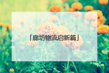 廊坊物流启新篇