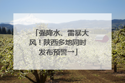 强降水、雷暴大风！陕西多地同时发布预警→