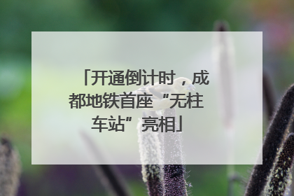 开通倒计时，成都地铁首座“无柱车站”亮相