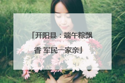 开阳县：端午粽飘香 军民一家亲
