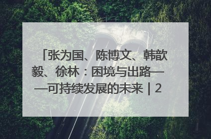 张为国、陈博文、韩歆毅、徐林：困境与出路——可持续发展的未来｜2025IFCII