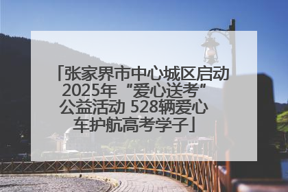 张家界市中心城区启动2025年“爱心送考”公益活动 528辆爱心车护航高考学子
