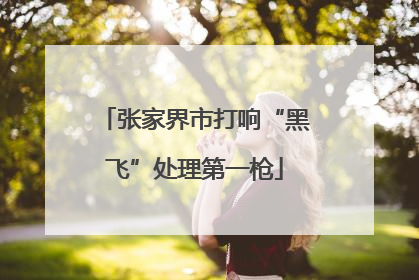 张家界市打响“黑飞”处理第一枪