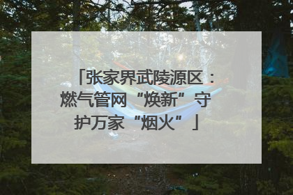 张家界武陵源区：燃气管网“焕新”守护万家“烟火”