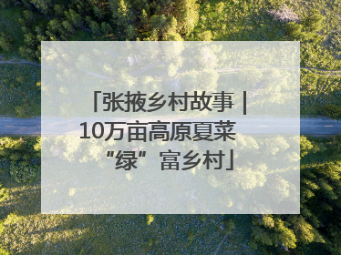 张掖乡村故事｜10万亩高原夏菜“绿”富乡村