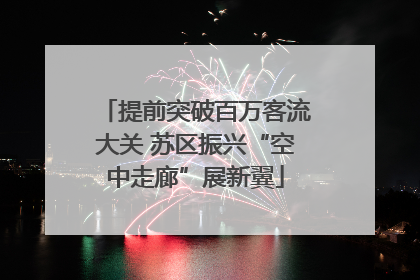 提前突破百万客流大关 苏区振兴“空中走廊”展新翼