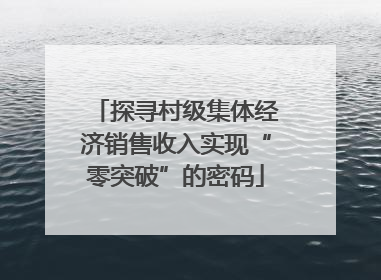 探寻村级集体经济销售收入实现“零突破”的密码