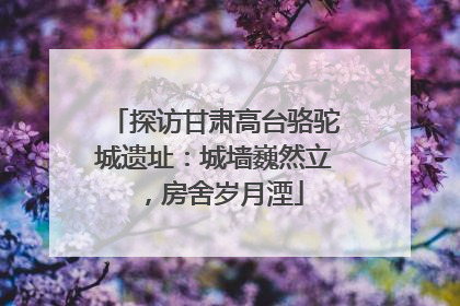 探访甘肃高台骆驼城遗址：城墙巍然立，房舍岁月湮
