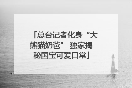 总台记者化身“大熊猫奶爸” 独家揭秘国宝可爱日常