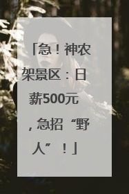 急！神农架景区：日薪500元，急招“野人”！