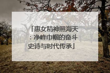 惠女精神照海天：净峰巾帼的奋斗史诗与时代传承