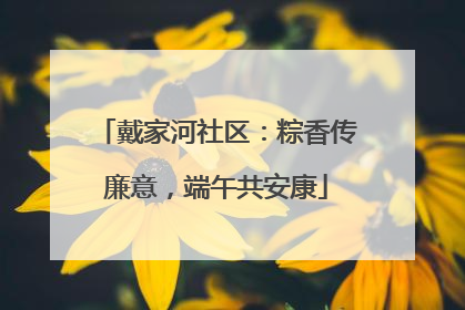 戴家河社区：粽香传廉意，端午共安康