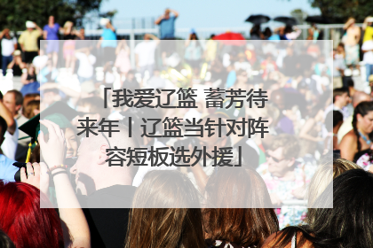 我爱辽篮 蓄芳待来年丨辽篮当针对阵容短板选外援
