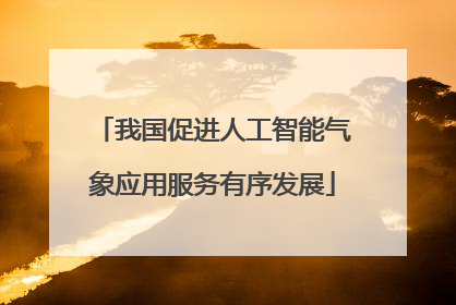 我国促进人工智能气象应用服务有序发展