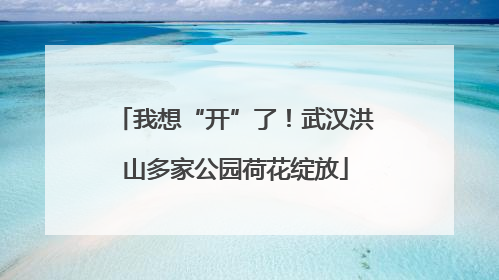 我想“开”了！武汉洪山多家公园荷花绽放