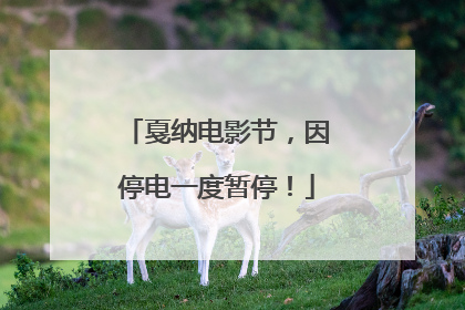 戛纳电影节，因停电一度暂停！
