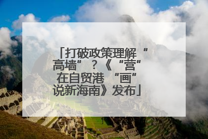 打破政策理解“高墙”？《“营”在自贸港 “画”说新海南》发布