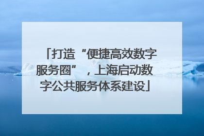 打造“便捷高效数字服务圈”，上海启动数字公共服务体系建设