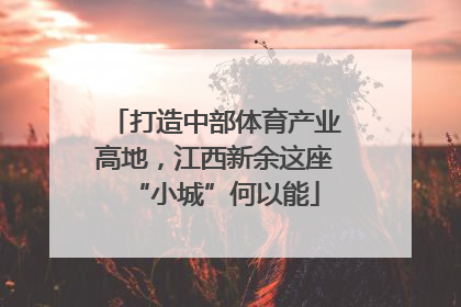 打造中部体育产业高地，江西新余这座“小城”何以能
