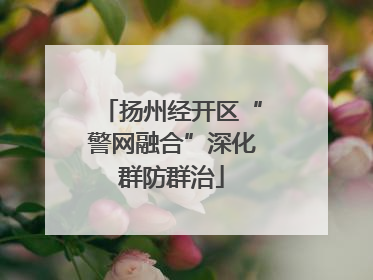 扬州经开区“警网融合”深化群防群治