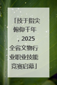 技于指尖 俯仰千年，2025全省文物行业职业技能竞赛启幕