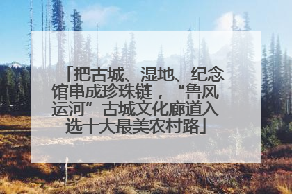 把古城、湿地、纪念馆串成珍珠链，“鲁风运河”古城文化廊道入选十大最美农村路