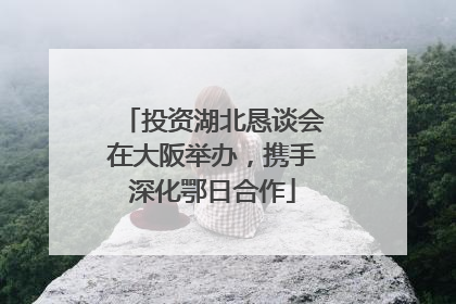 投资湖北恳谈会在大阪举办，携手深化鄂日合作