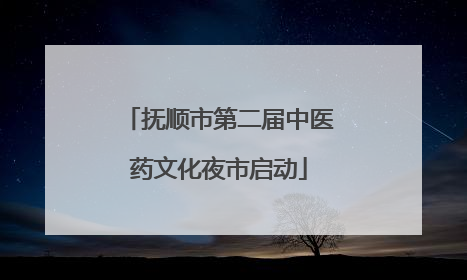 抚顺市第二届中医药文化夜市启动