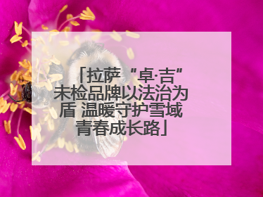 拉萨“卓·吉”未检品牌以法治为盾 温暖守护雪域青春成长路
