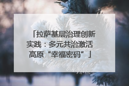 拉萨基层治理创新实践：多元共治激活高原“幸福密码”