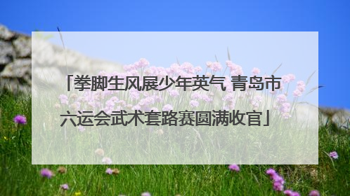 拳脚生风展少年英气 青岛市六运会武术套路赛圆满收官