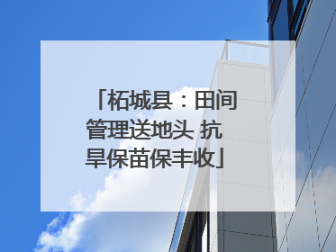 柘城县：田间管理送地头 抗旱保苗保丰收