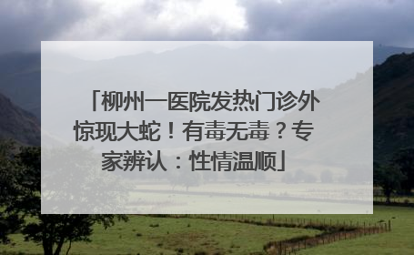柳州一医院发热门诊外惊现大蛇！有毒无毒？专家辨认：性情温顺