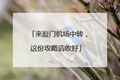来厦门机场中转，这份攻略请收好