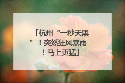 杭州“一秒天黑”！突然狂风暴雨！马上更猛