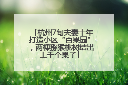 杭州7旬夫妻十年打造小区“百果园”，两棵猕猴桃树结出上千个果子