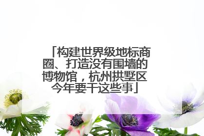 构建世界级地标商圈、打造没有围墙的博物馆，杭州拱墅区今年要干这些事