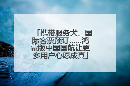 携带服务犬、国际客票预订……鸿蒙版中国国航让更多用户心愿成真