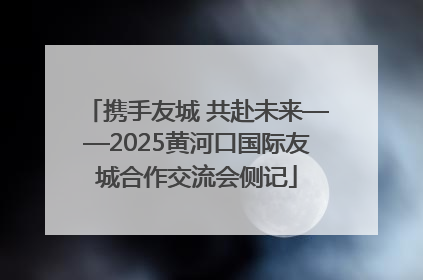 携手友城 共赴未来——2025黄河口国际友城合作交流会侧记