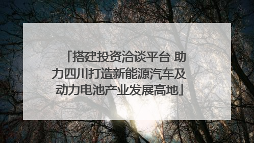 搭建投资洽谈平台 助力四川打造新能源汽车及动力电池产业发展高地