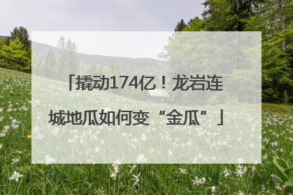 撬动174亿！龙岩连城地瓜如何变“金瓜”