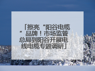 擦亮“阳谷电缆”品牌！市场监管总局到阳谷开展电线电缆专题调研