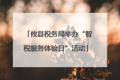 攸县税务局举办“智税服务体验日”活动