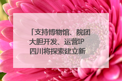 支持博物馆、院团大胆开发、运营IP 四川将探索建立新的收入分配激励机制｜新闻发布最前线