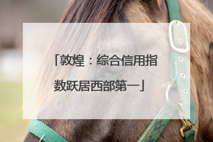 敦煌：综合信用指数跃居西部第一
